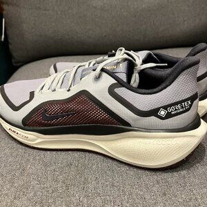 Nike Pegasus 41 GTX Gore-Tex Running Shoes Men’s (Gray/Maroon) Air Zoom Storm-Tr